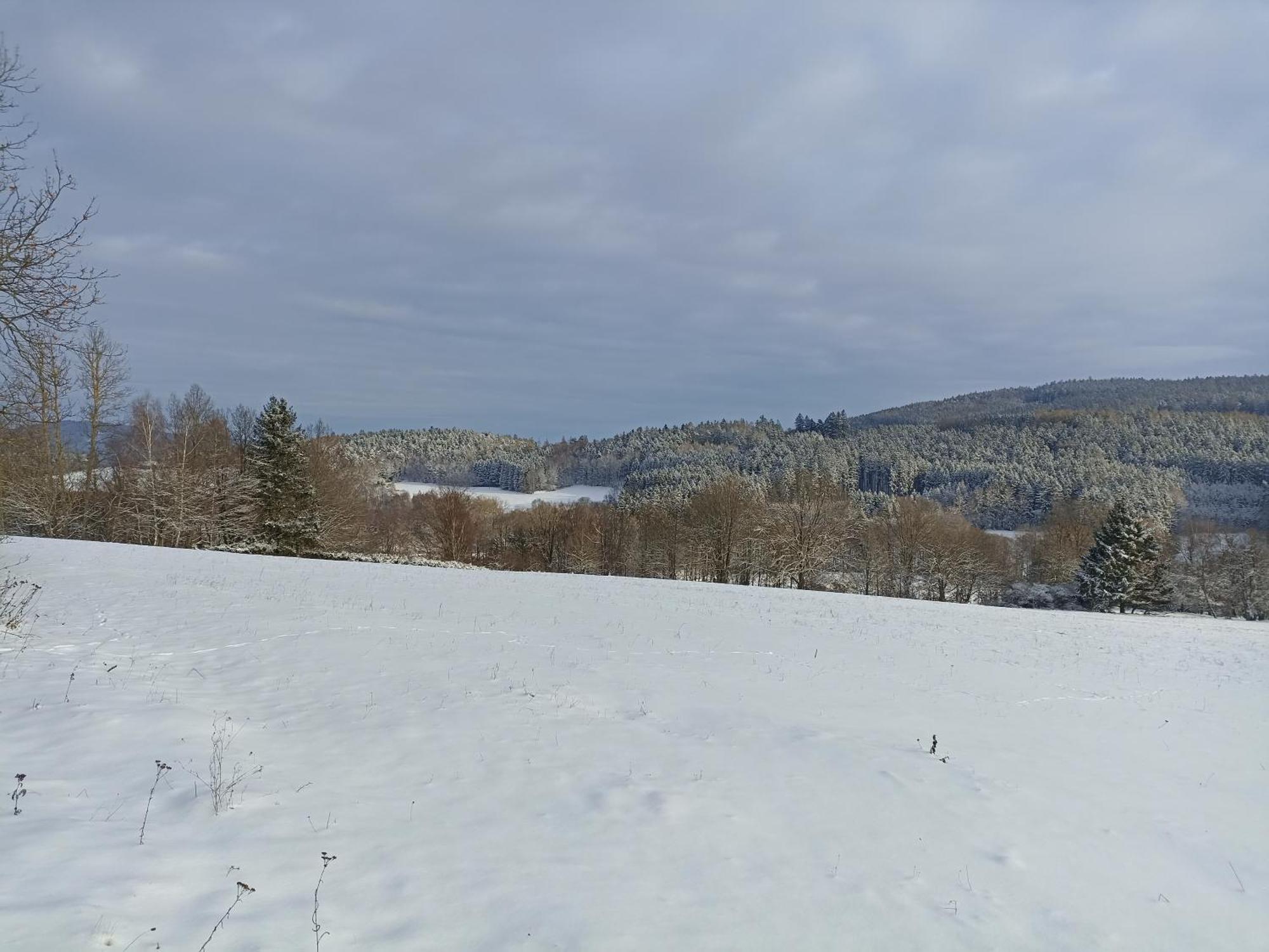 Chalupa V Ceskem Lese Bela nad Radbuzou Bagian luar foto