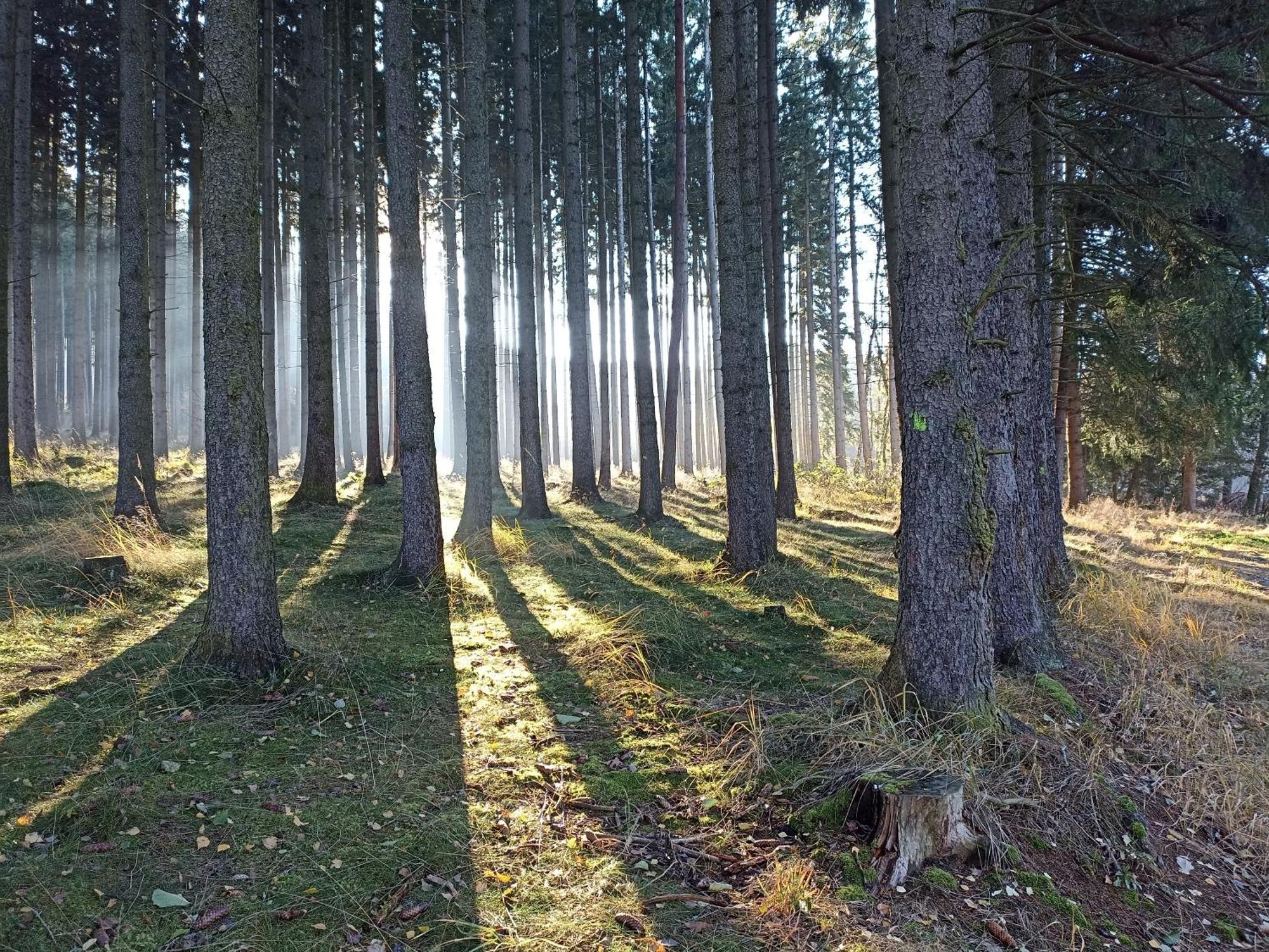 Chalupa V Ceskem Lese Bela nad Radbuzou Bagian luar foto